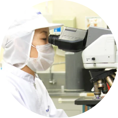 Kiểm tra tổng số vi khuẩn sữa tươi