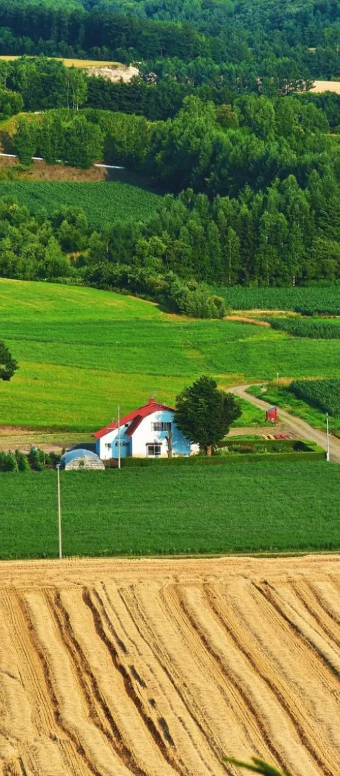 Thảo nguyên Hokkaido