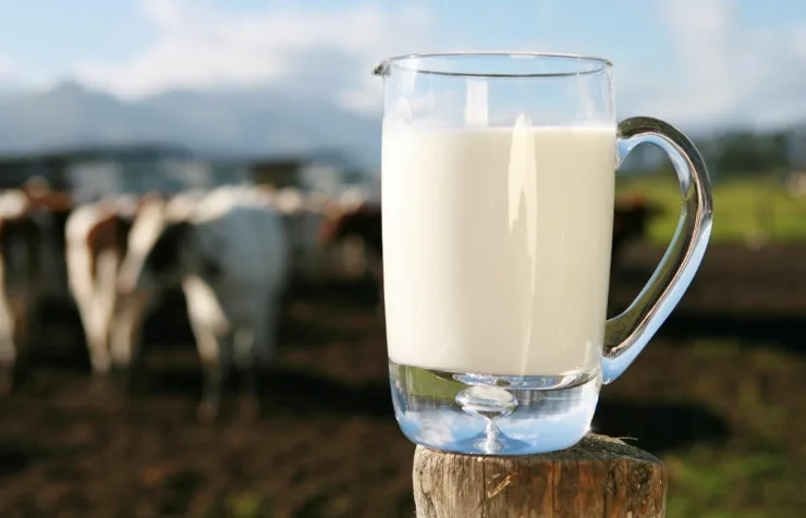 Đặc sản từ sữa của Hokkaido