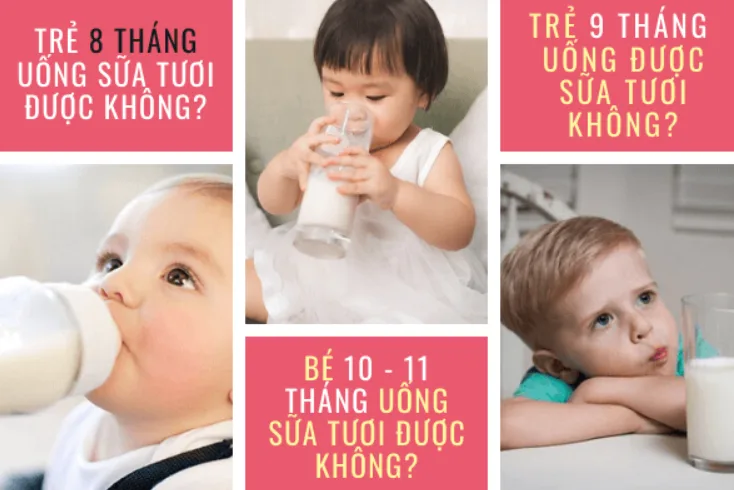 Cách chọn sữa tươi các mẹ cần lưu ý