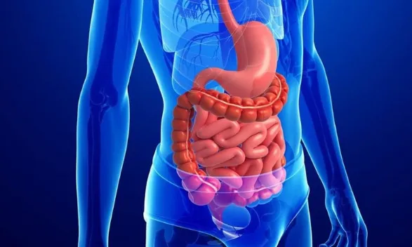 11 cách bảo vệ hệ tiêu hóa của bạn tốt nhất