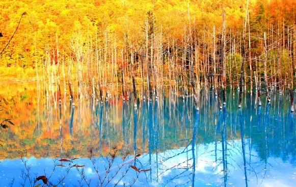 Khám phá Hokkaido – vùng đất đón mùa thu sớm nhất Nhật Bản