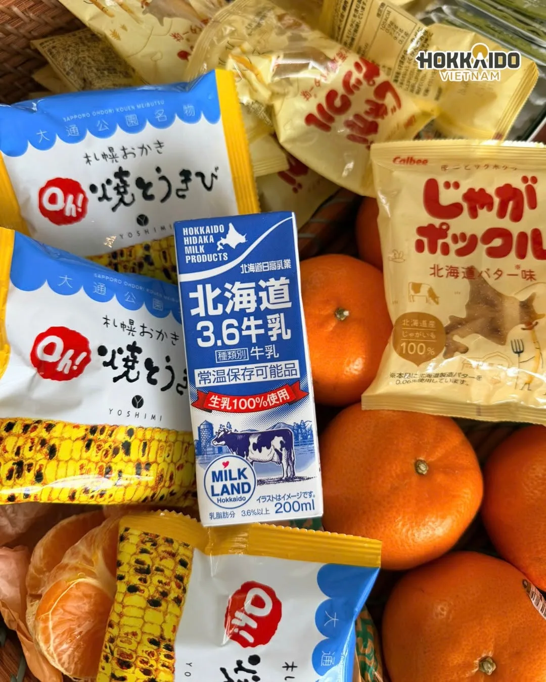 Check in biển tinh tế và xinh yêu như cách gia đình Việt "nạp thành viên" Hokkaido nguyên chất