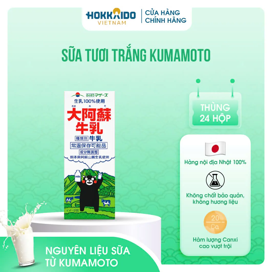 Sữa tươi trắng Kumamoto